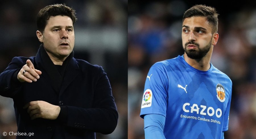 სიაში მამარდაშვილიც არის! - ვინ სურს პოჩეტინოს მეკარედ